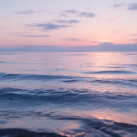 Сосредоточен на исследовании и открытии